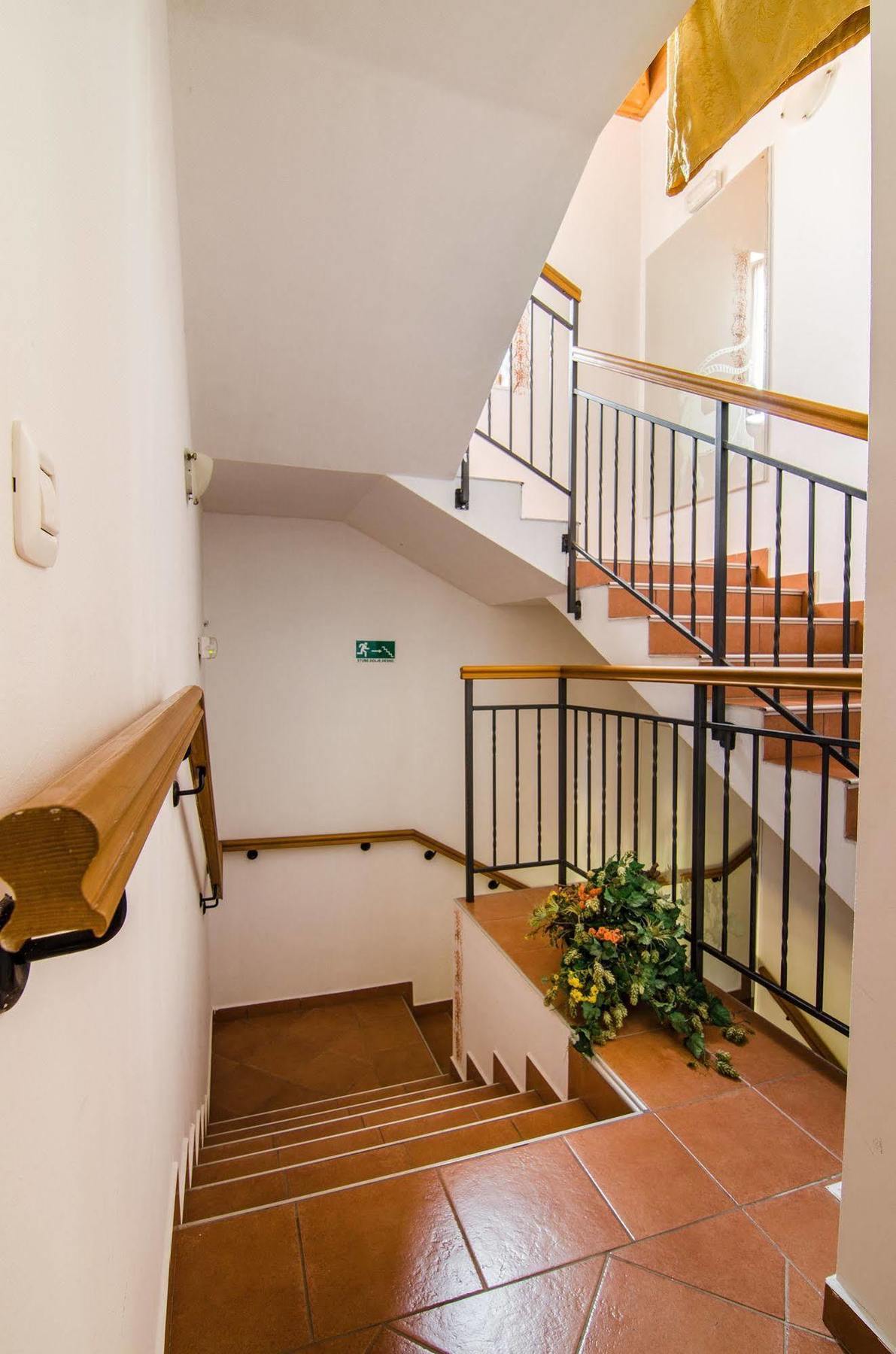 Villa Calussovo Ripenda Kras المظهر الخارجي الصورة